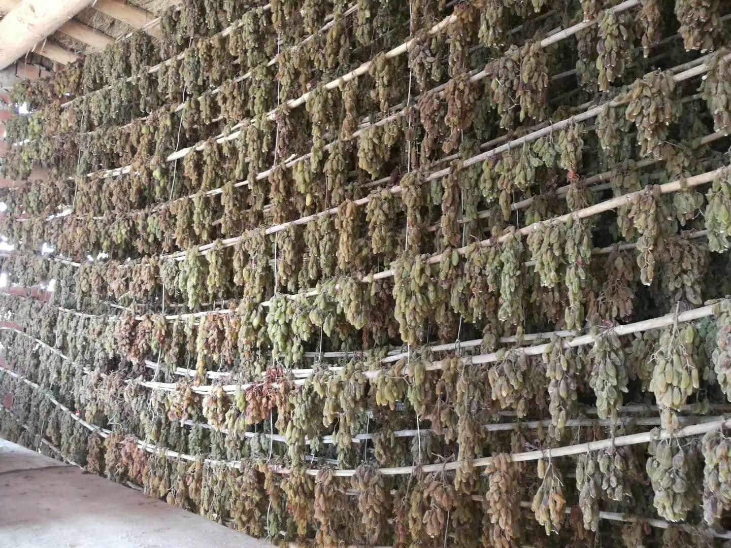 吐鲁番特级绿香妃葡萄干,无添加,自然晾干.