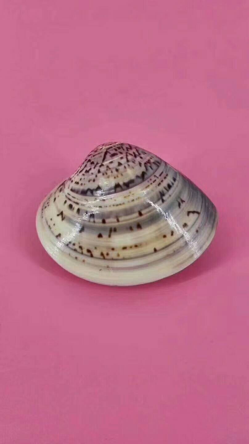 80后经典回忆,(送广告牌 标签 录音)蛤蜊油又称哈蜡油-歪子油 嘎啦油